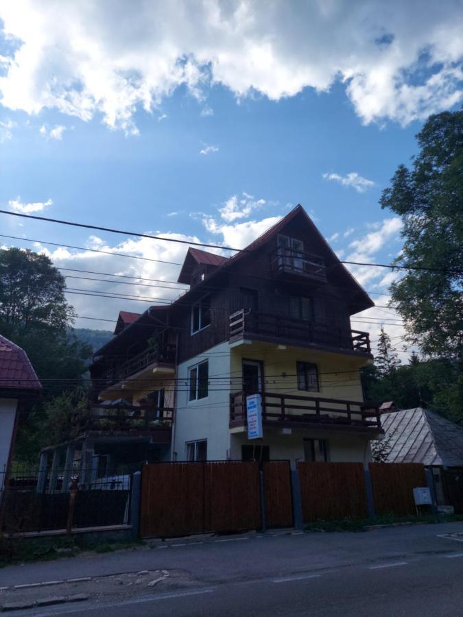 Pensiune Casa Barcaru Azuga Zewnętrze zdjęcie