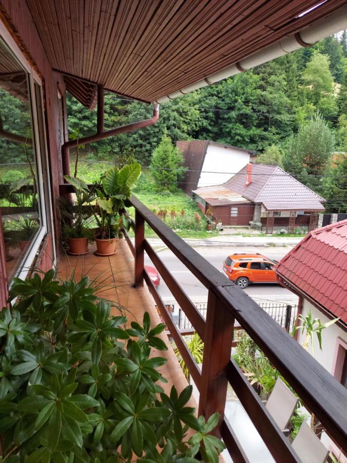 Pensiune Casa Barcaru Azuga Zewnętrze zdjęcie