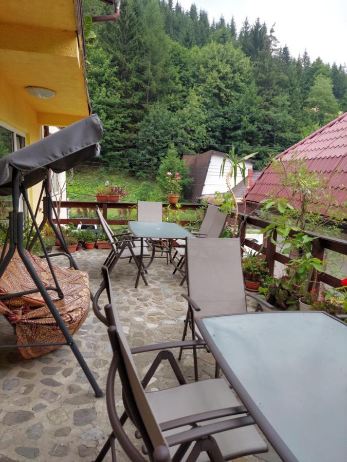 Pensiune Casa Barcaru Azuga Zewnętrze zdjęcie